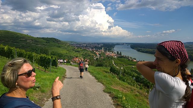 Blick auf das Donautal